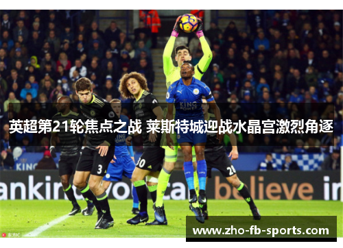 英超第21轮焦点之战 莱斯特城迎战水晶宫激烈角逐 英超第21轮焦点之战 莱斯特城迎战水晶宫激烈角逐