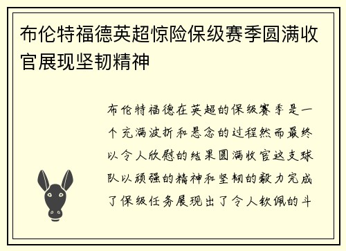布伦特福德英超惊险保级赛季圆满收官展现坚韧精神